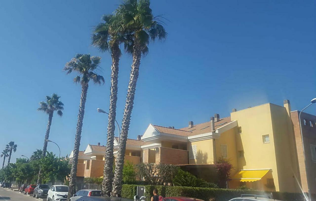 Appartamento Emilia Cupra Marittima Exterior foto
